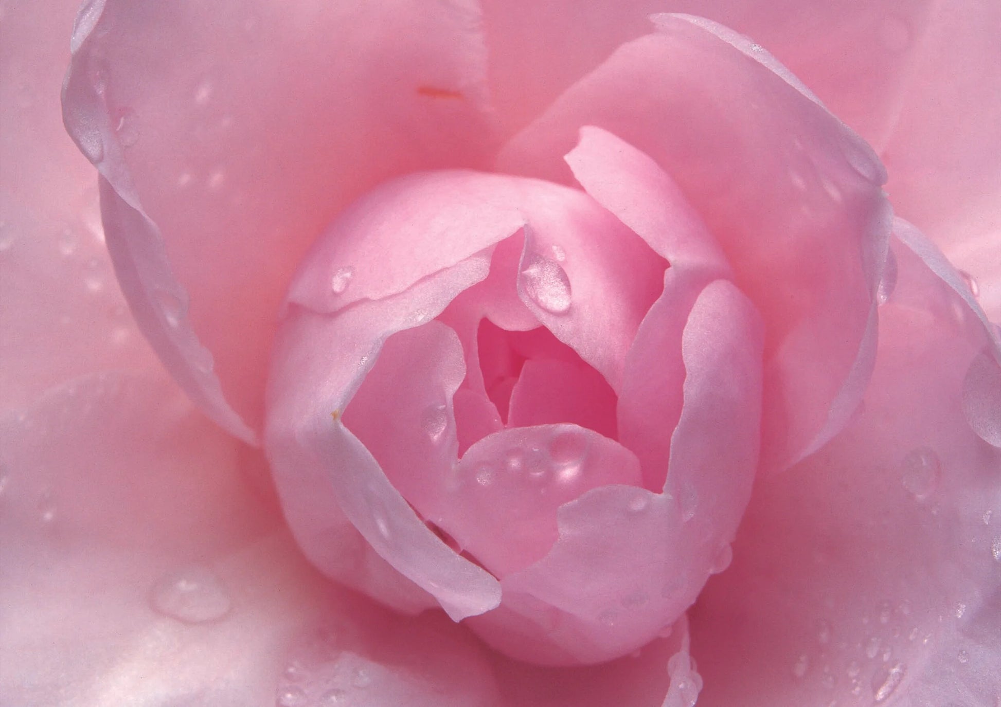 ANTI ÂGE SKIN REPAIR SERUM | RETINOL [2.1%] + VITAMIN C [5.6%] | Skin + Scars-1