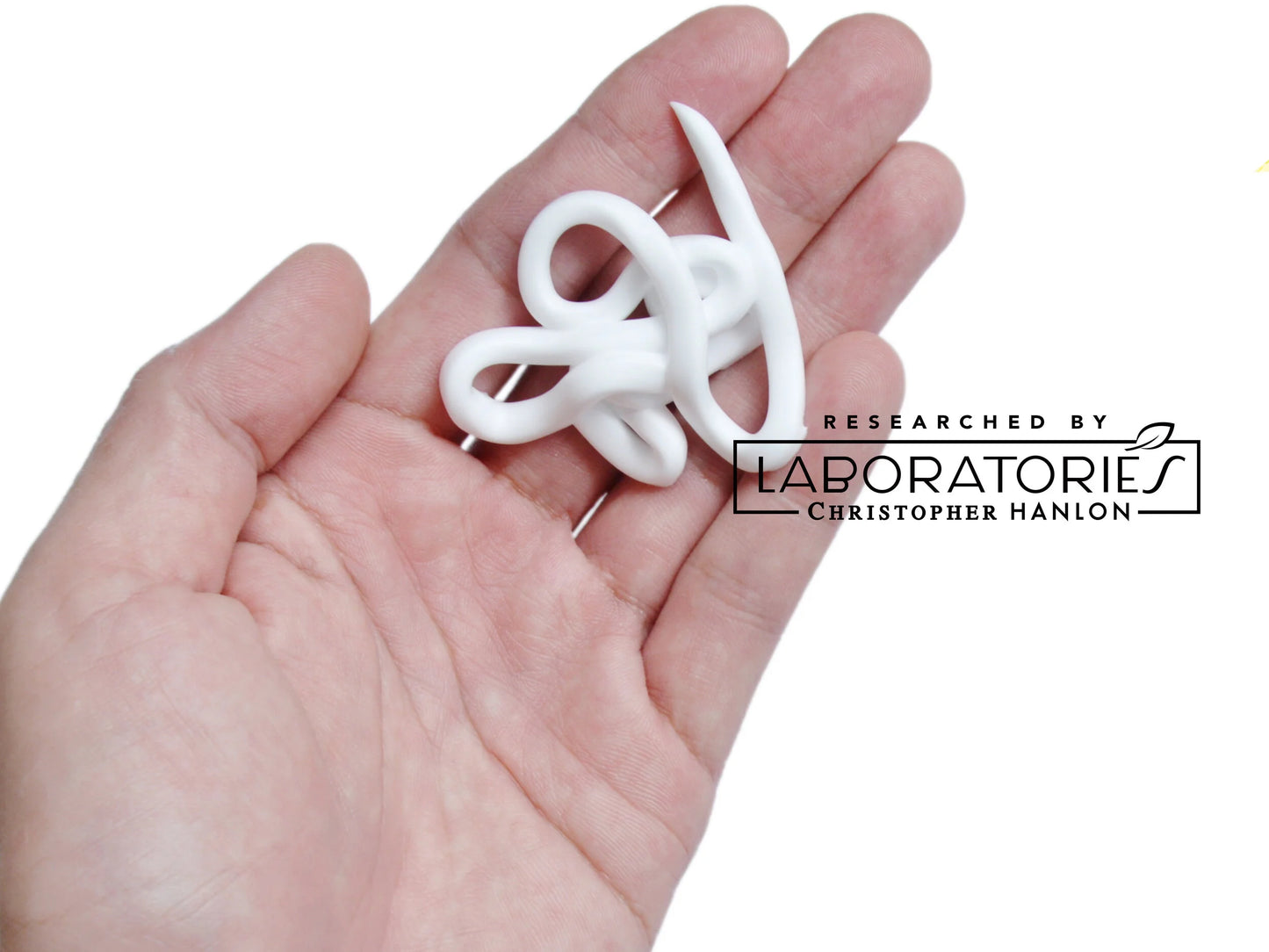 SHAVING | REFILLS | Black Cockatoo + Mint-1