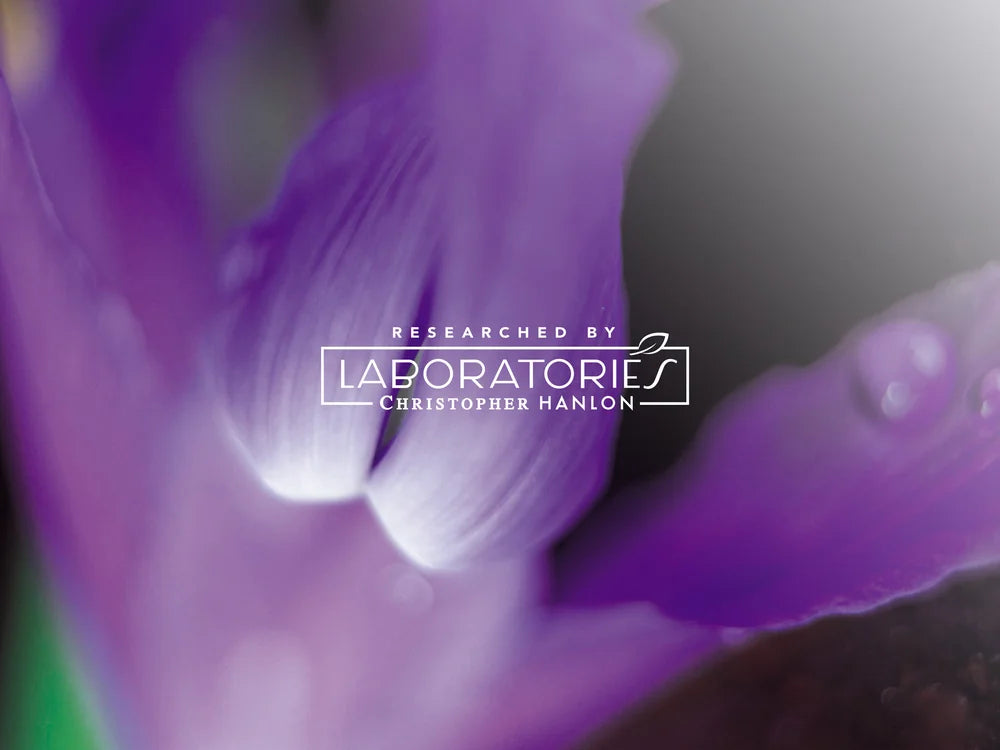 2x QUEENSLAND PINK GRAPEFRUIT + CITRUS | SHEABUTTER HAND WASH + HAND BALM-4